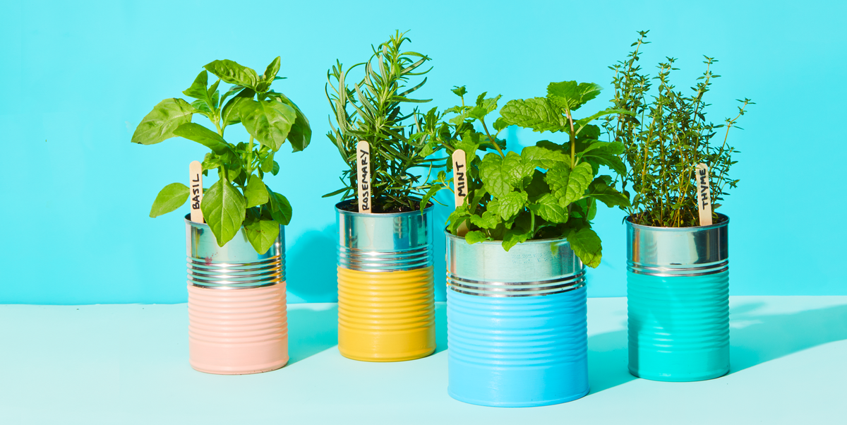 10 Herbs to Grow Inside Year-Round - Indoor Herb Garden Ideas